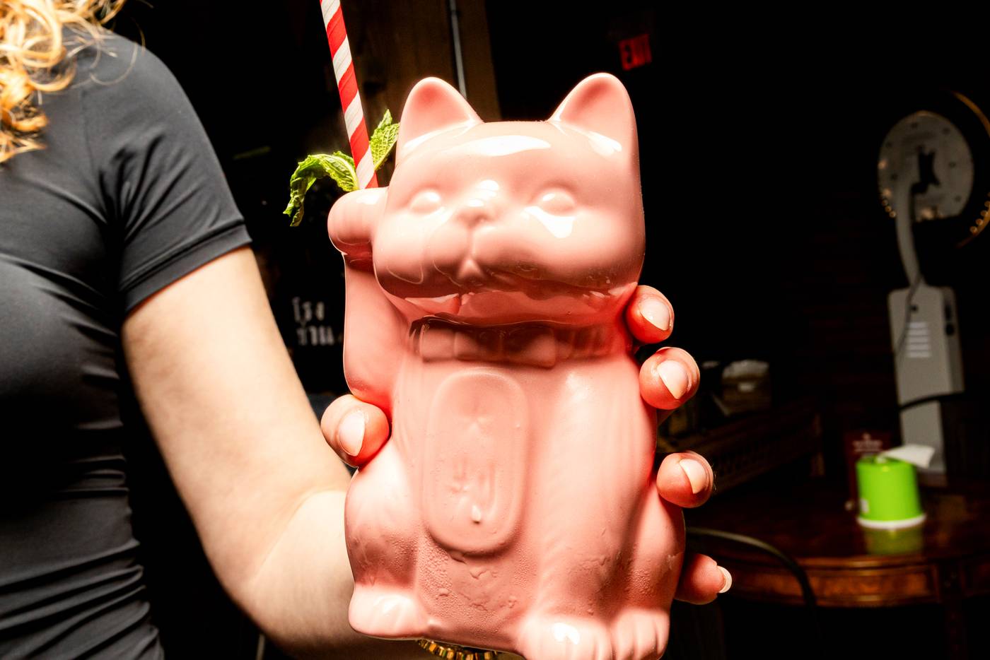 Tha Phae Tavern Toronto