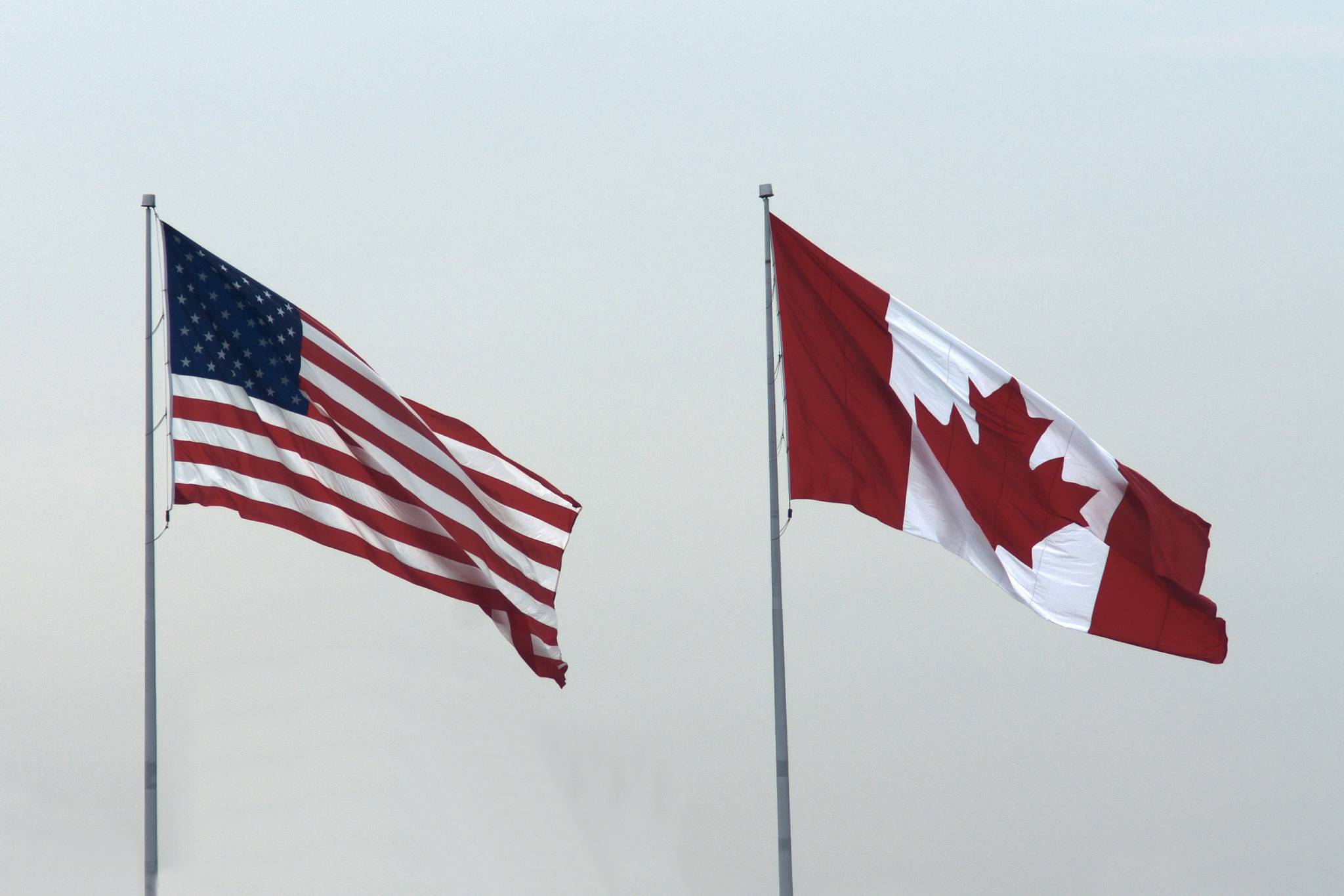 amazon canada petition 51st state